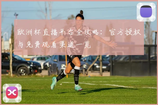 欧洲杯直播平台全攻略：官方授权与免费观看渠道一览