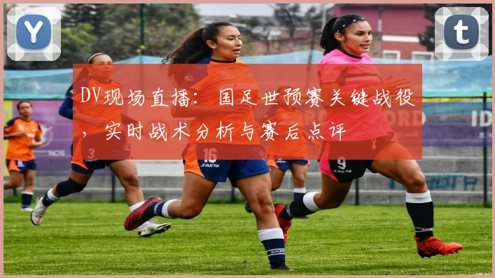 DV现场直播：国足世预赛关键战役，实时战术分析与赛后点评