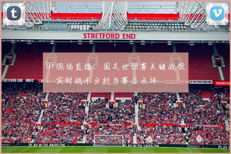 DV现场直播：国足世预赛关键战役，实时战术分析与赛后点评