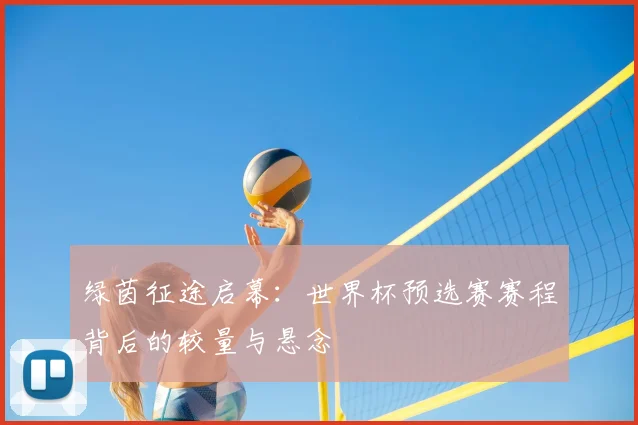 绿茵征途启幕：世界杯预选赛赛程背后的较量与悬念